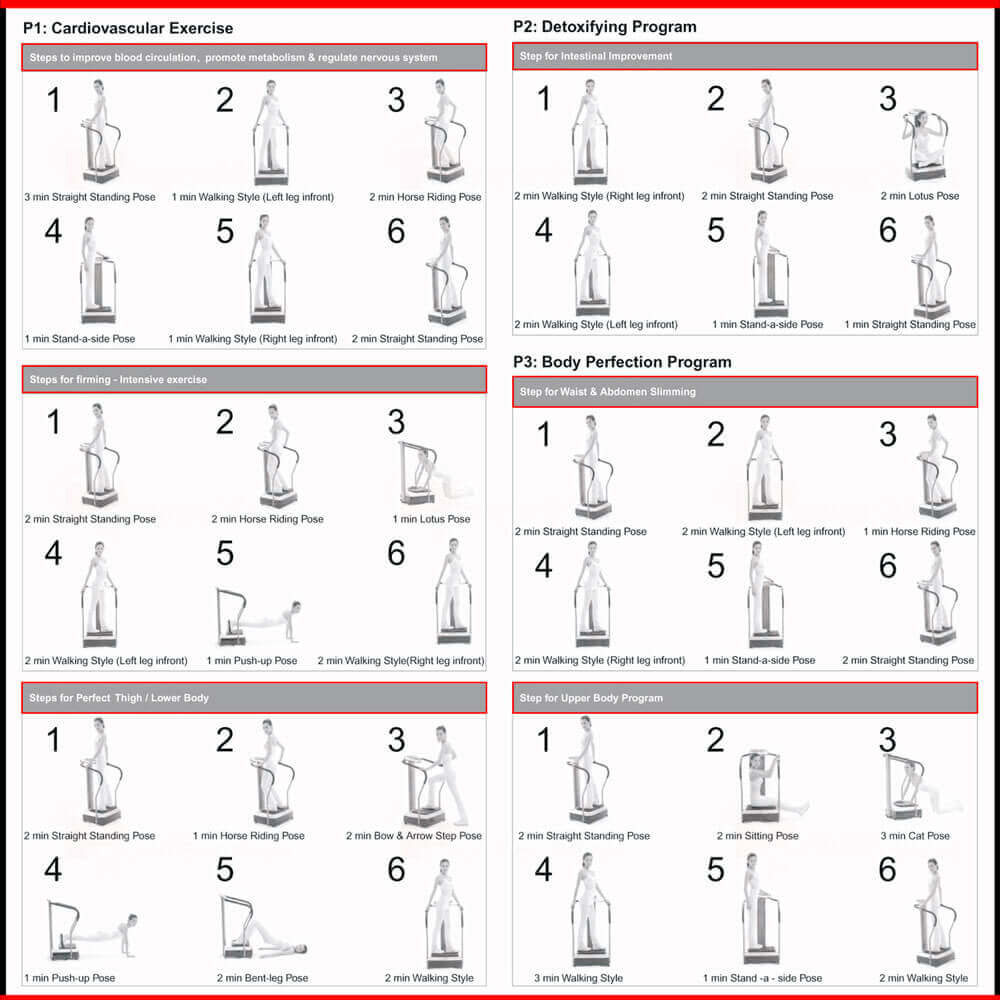 VP-500 Full Body Vibration Machine