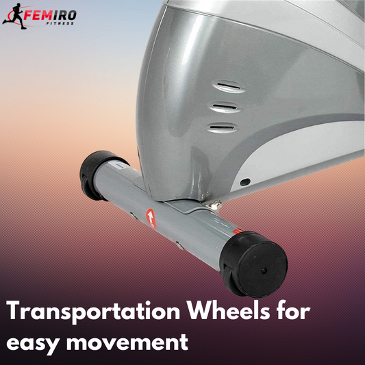 RM-300 Magnetic Foldable Rowing Machine for Home use