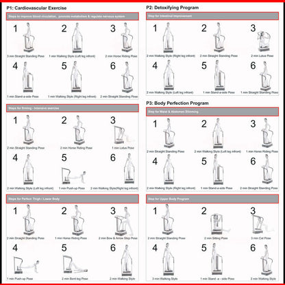 VP-500 Full Body Vibration Machine