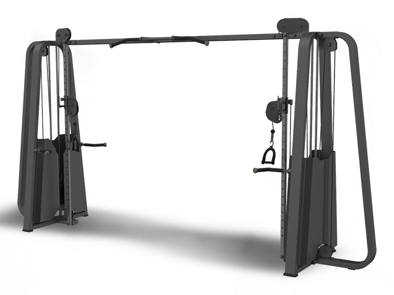 Proclub Line Series